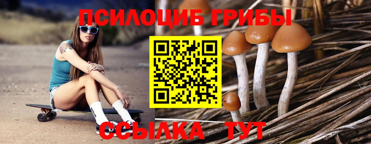 Псилоцибиновые грибы Psilocybine cubensis Урюпинск