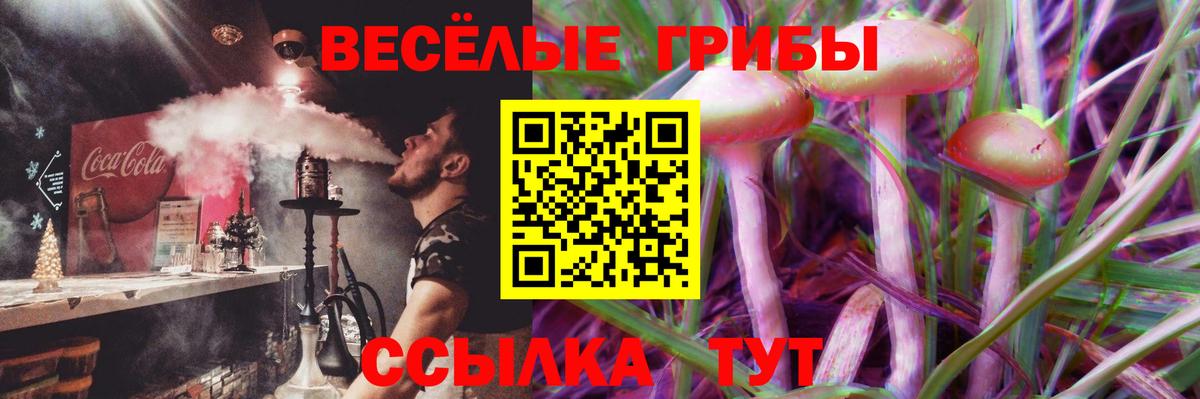Урюпинск  купить наркотики сайты  Вход с VPN  Псилоцибиновые грибы ЛСД 
